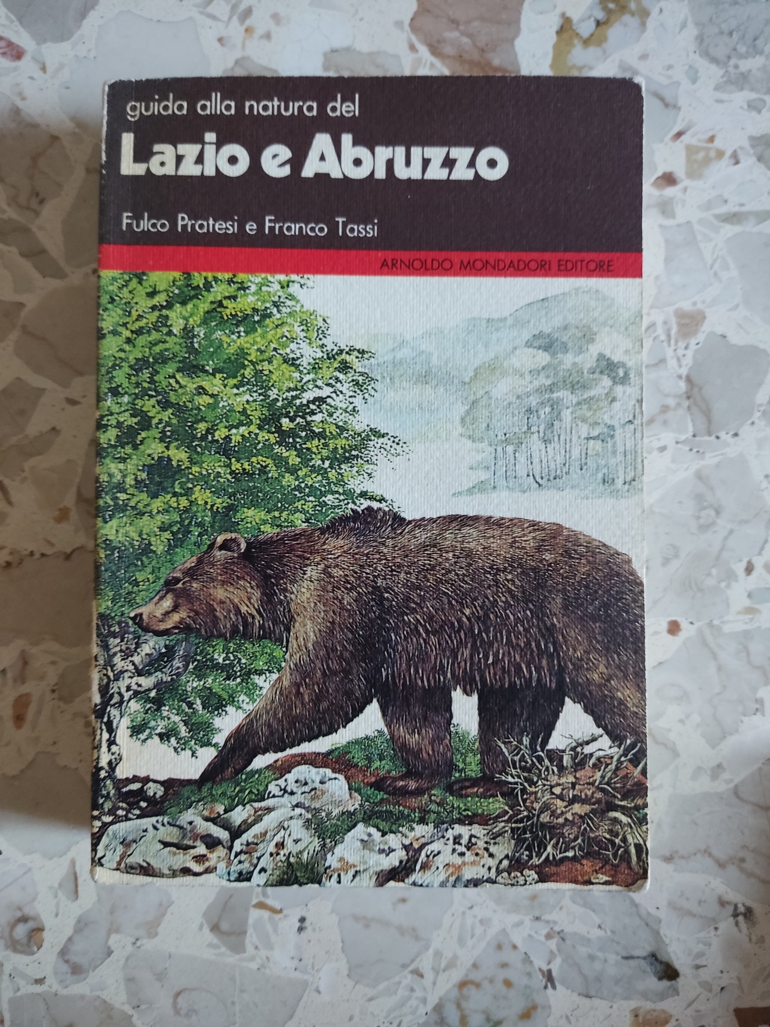 Librisaggi