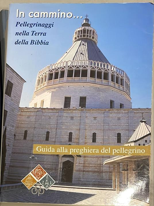 In cammino...Pellegrinaggi nella Terra della Bibbia. Guida alla preghiera del pellegrino - copertina