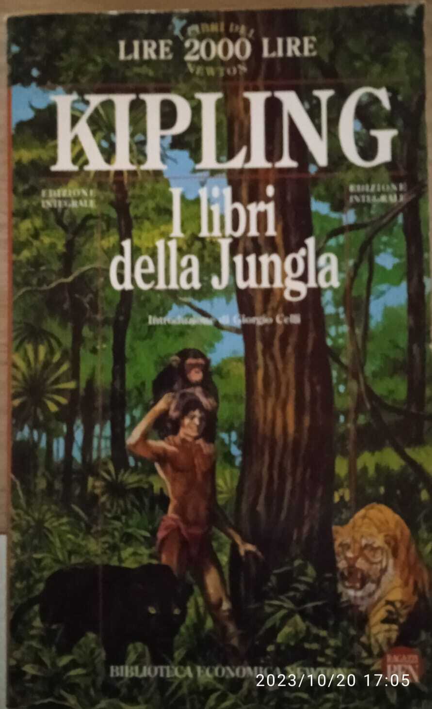 Librisaggi