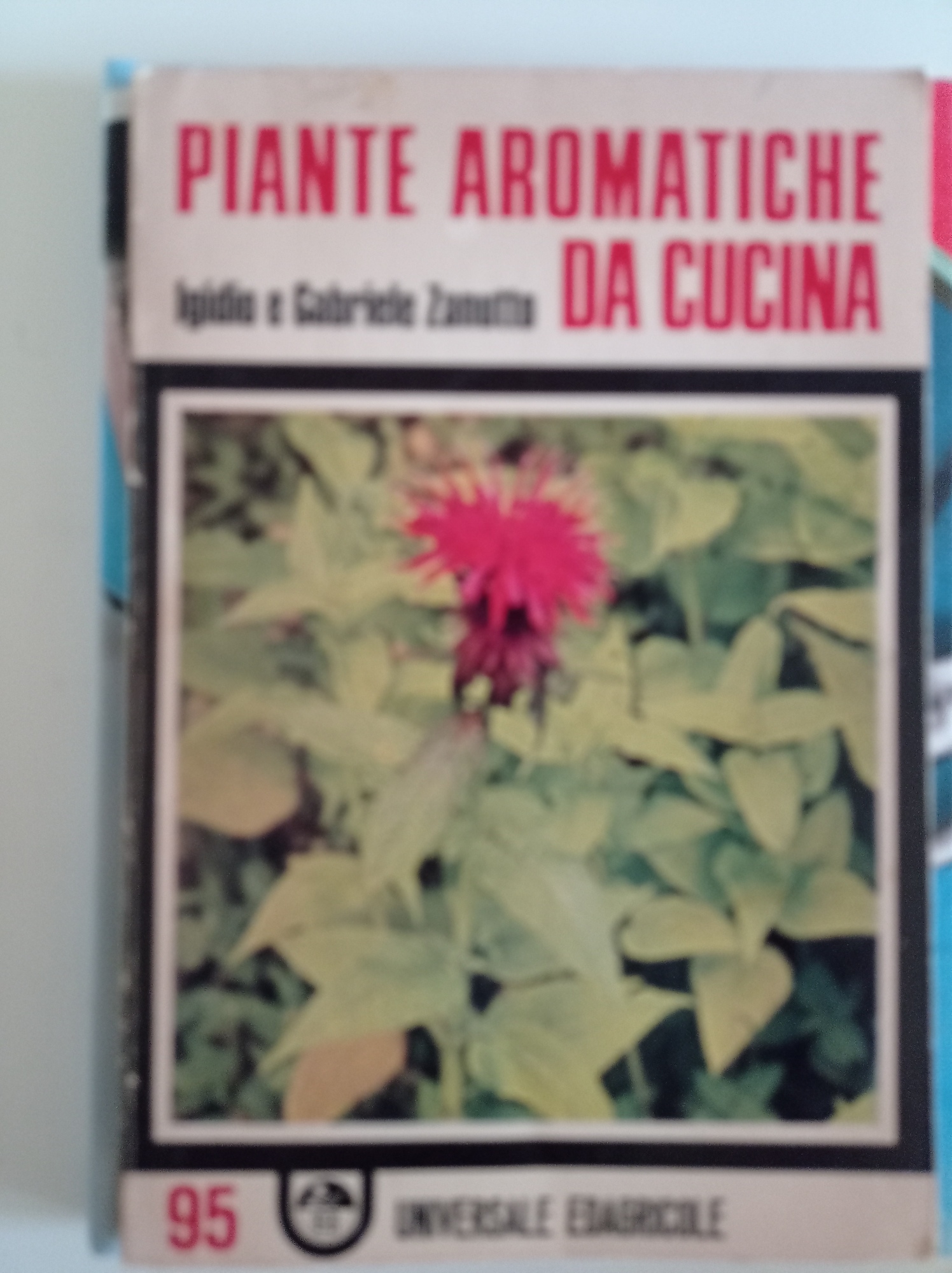 Libreria del Professore