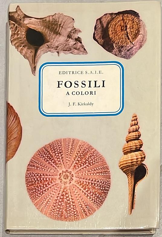 Fossili a colori - copertina