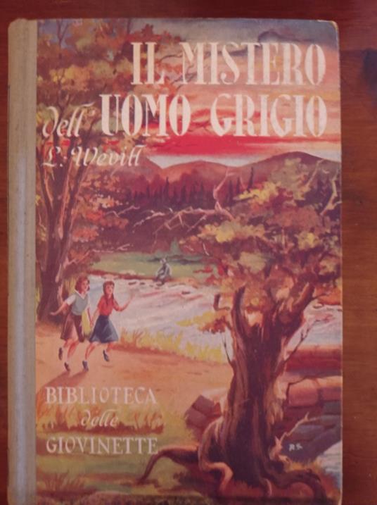 Il mistero dell'uomo grigio - copertina