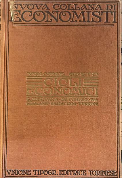 Cicli economici. Volume VI - Giorgio Mortara - copertina