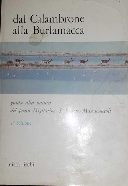 Dal Calambrone alla Burlamacca - copertina