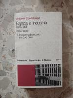 Banca e industria in Italia. Il sistema bancario tra due crisi
