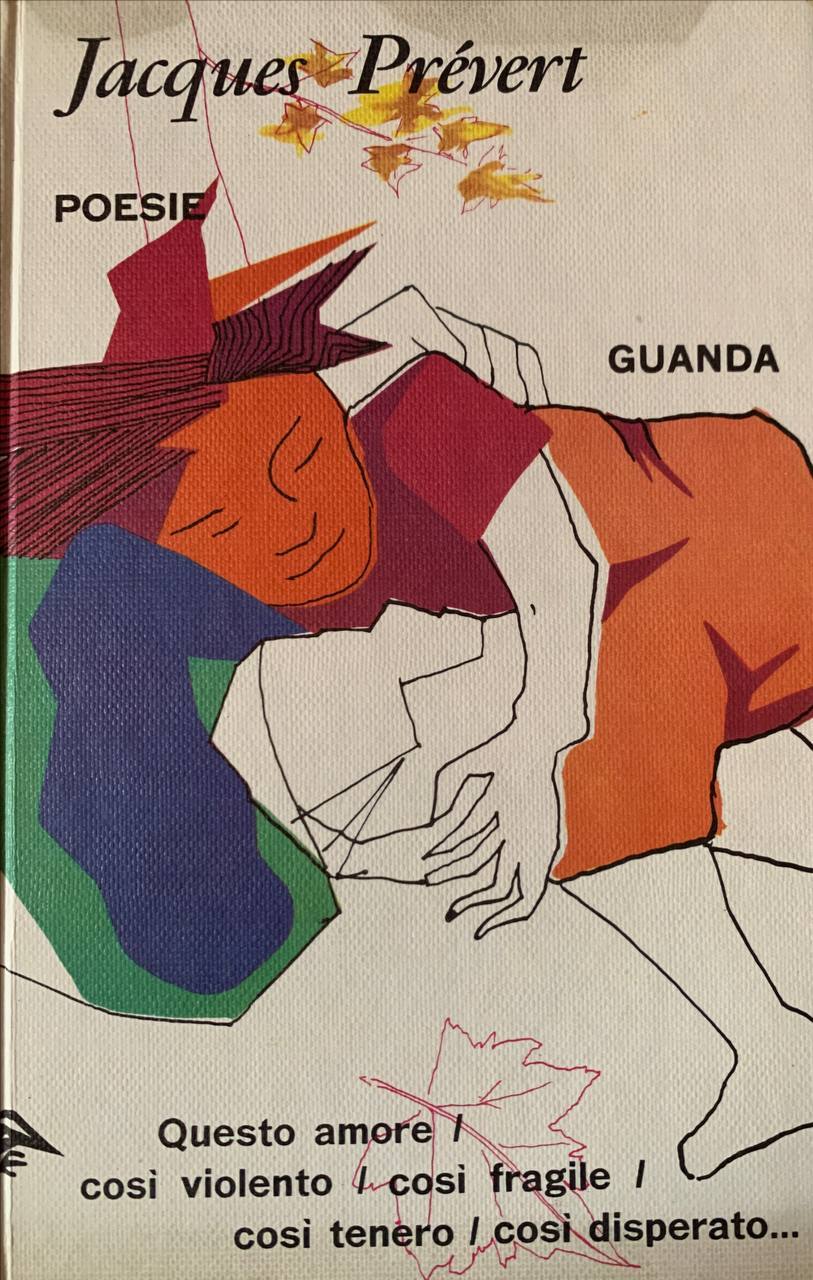 Libreria del Professore