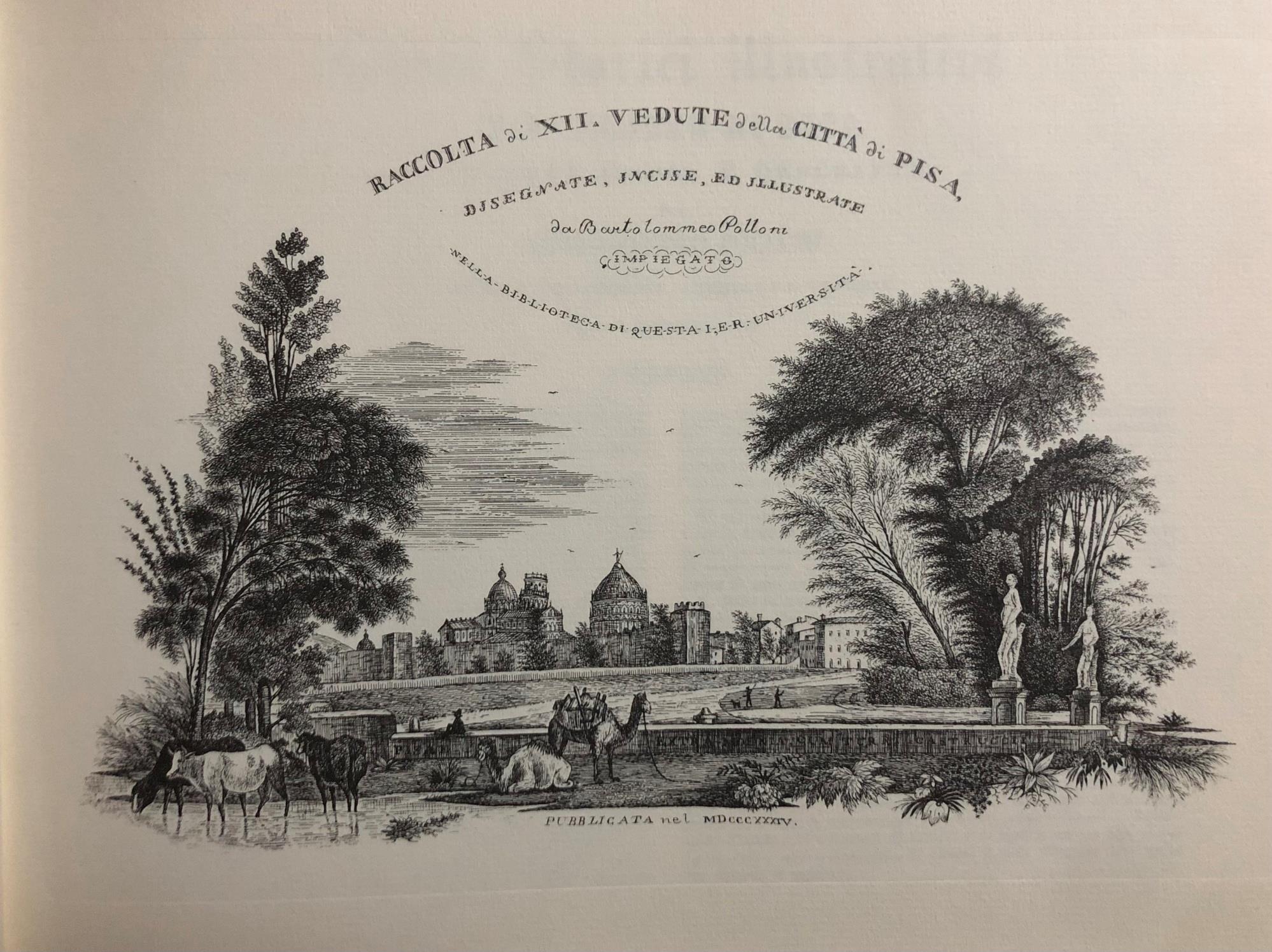 Raccolta di vedute della città di Pisa