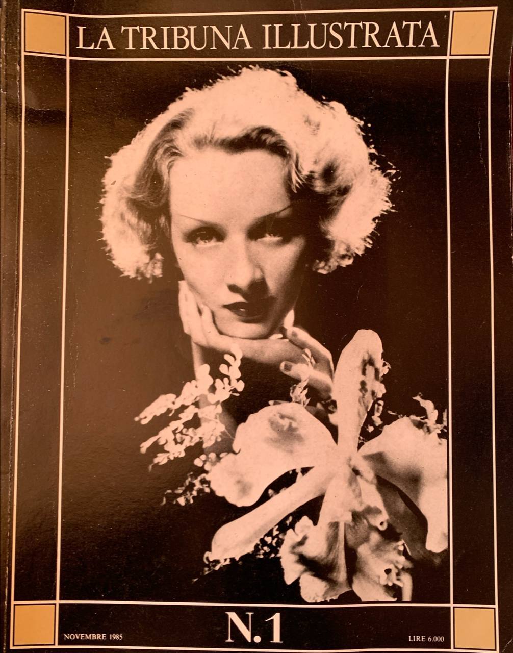 Libreria del Professore