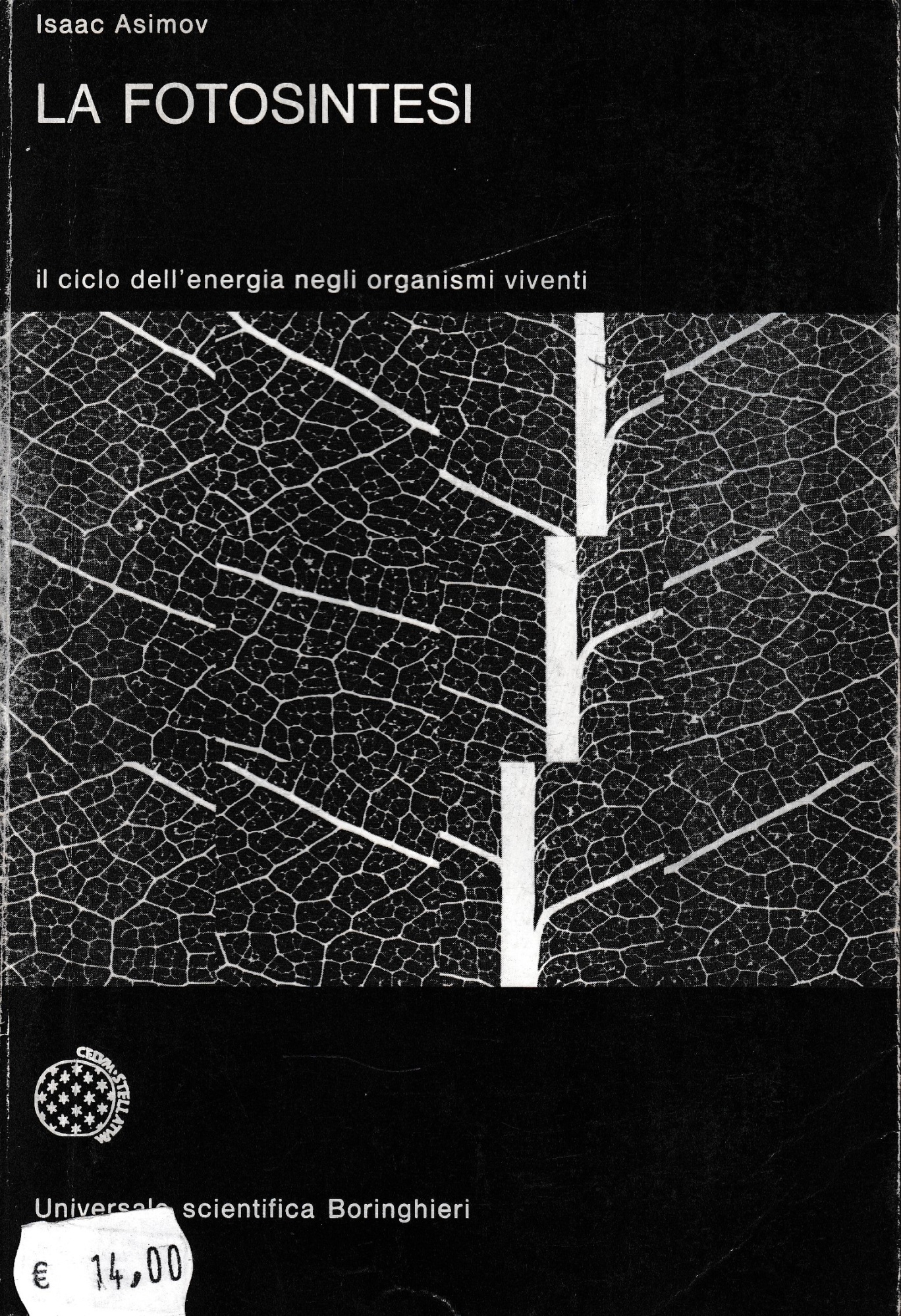 L'Odissea Libri e Arte
