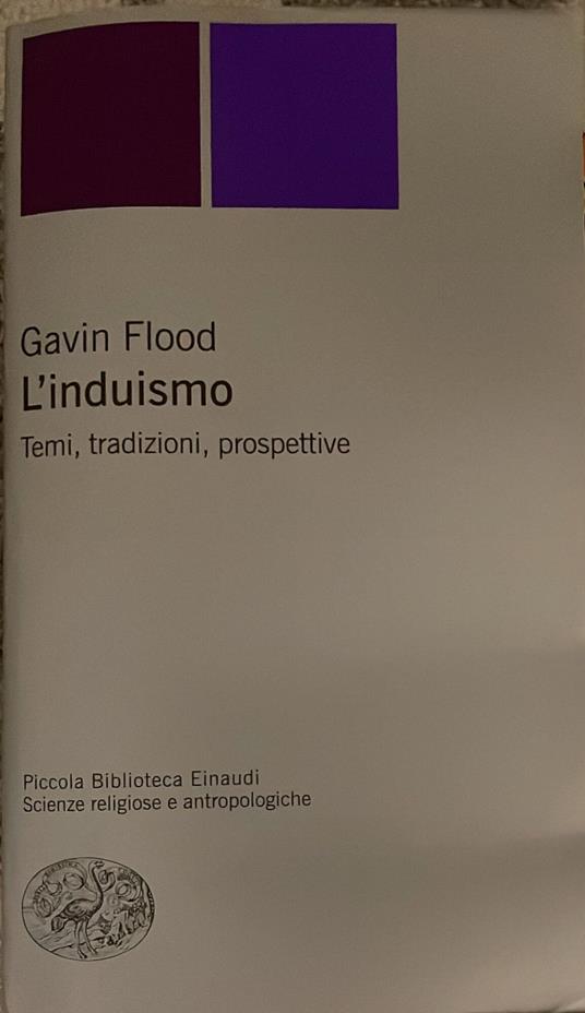 L' induismo. Temi, tradizioni, prospettive - Gavin Flood - copertina