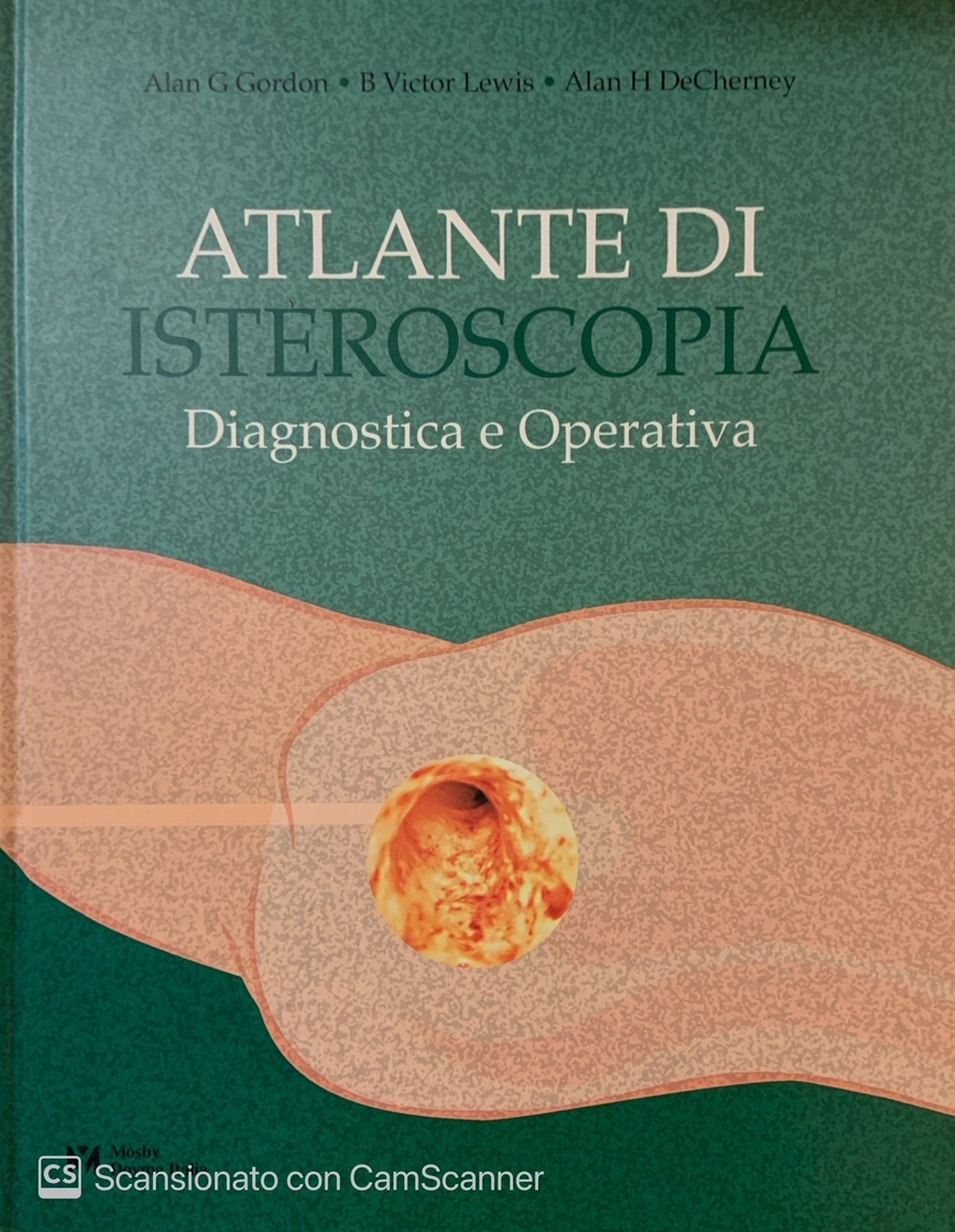 Librisaggi