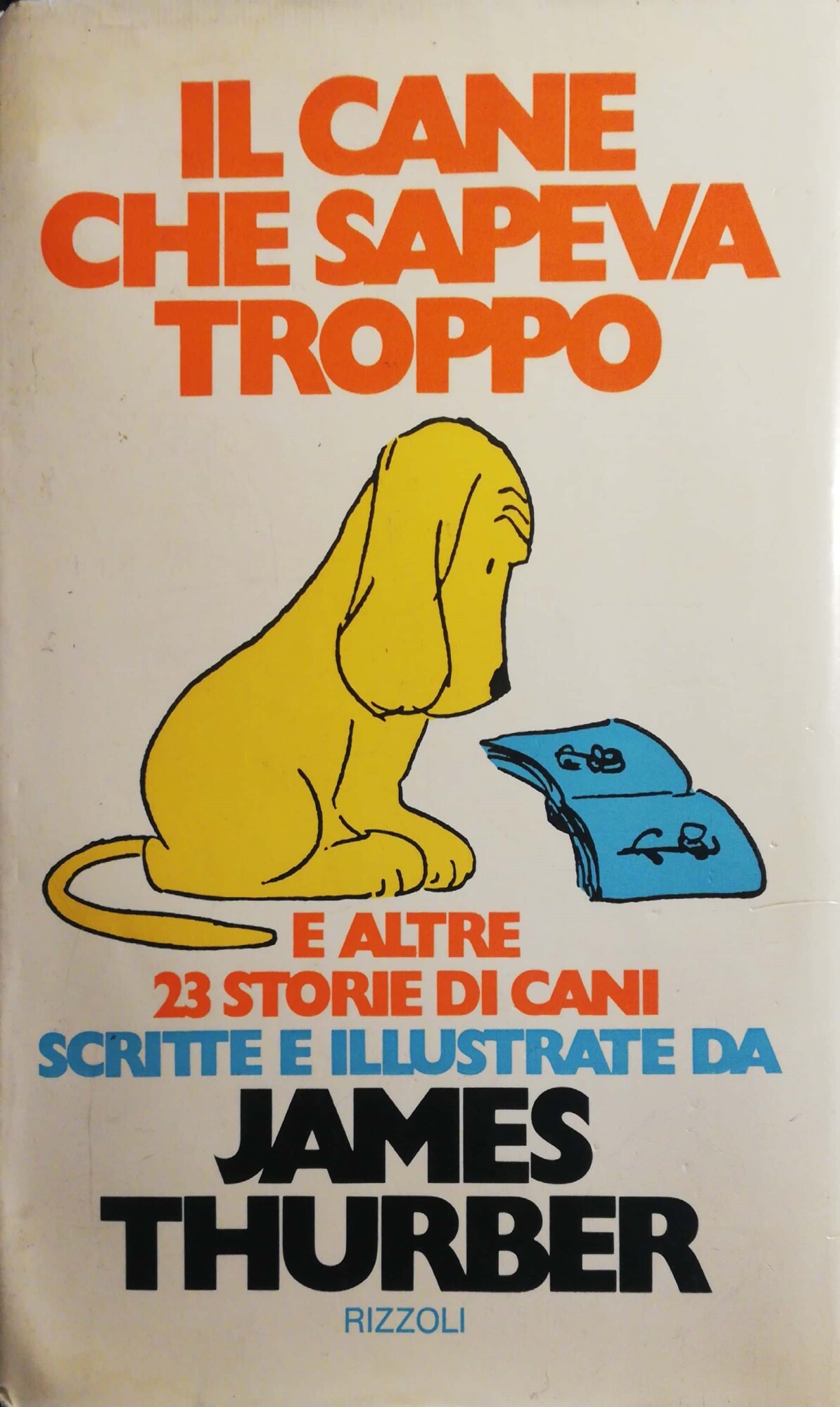 Librisaggi