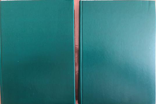 Viaggio in Italia. Diario a più voci. Vol. I - II - Gianni Eugenio Viola - copertina
