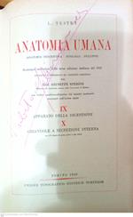 Anatomia umana vol. IX/X apparato della digestione ghiandole a secrezione interna