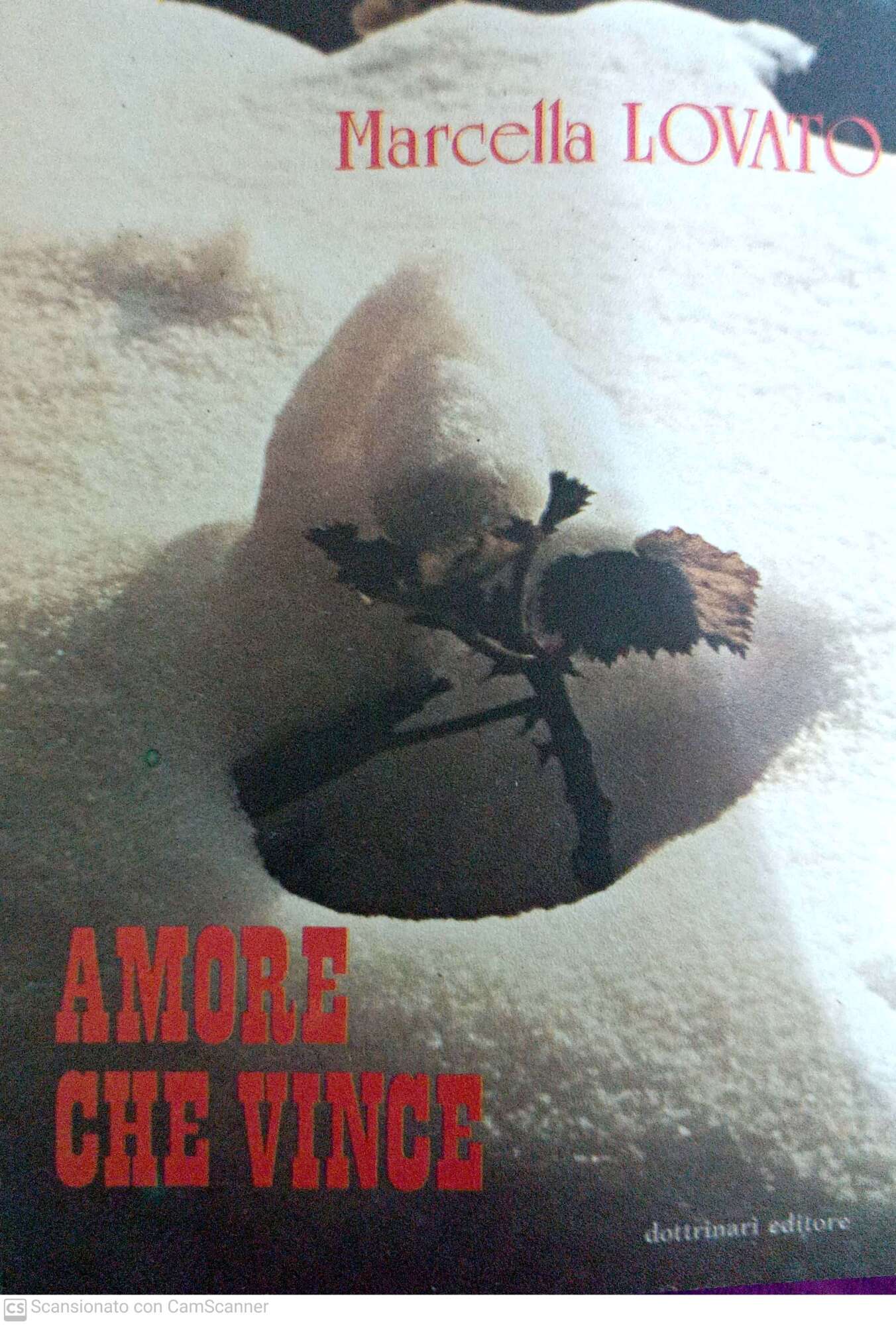 Libreria del Professore