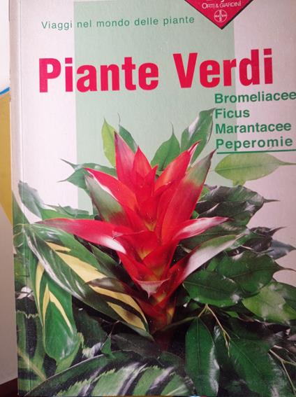 Piante verdi - Eliana Angiuli - copertina
