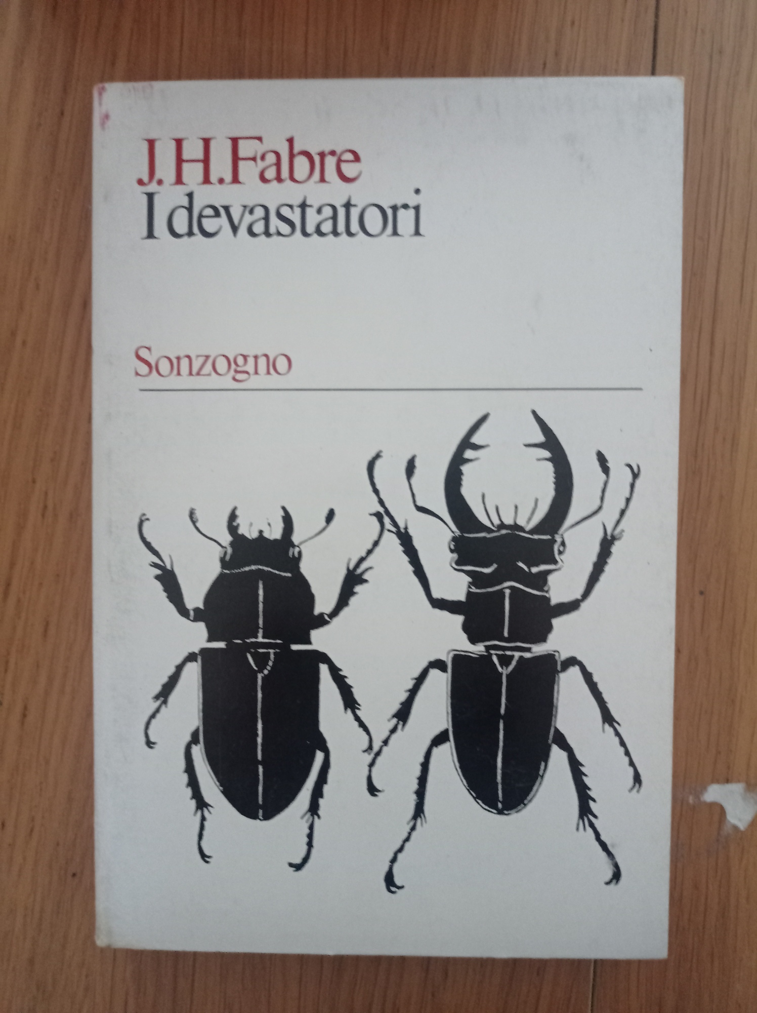 Libreria del Professore