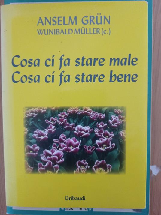 Cosa ci fa stare male. Cosa ci fa stare bene - Anselm Grün - copertina