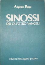 Sinossi dei quattro vangeli. Testo (Vol. 1)