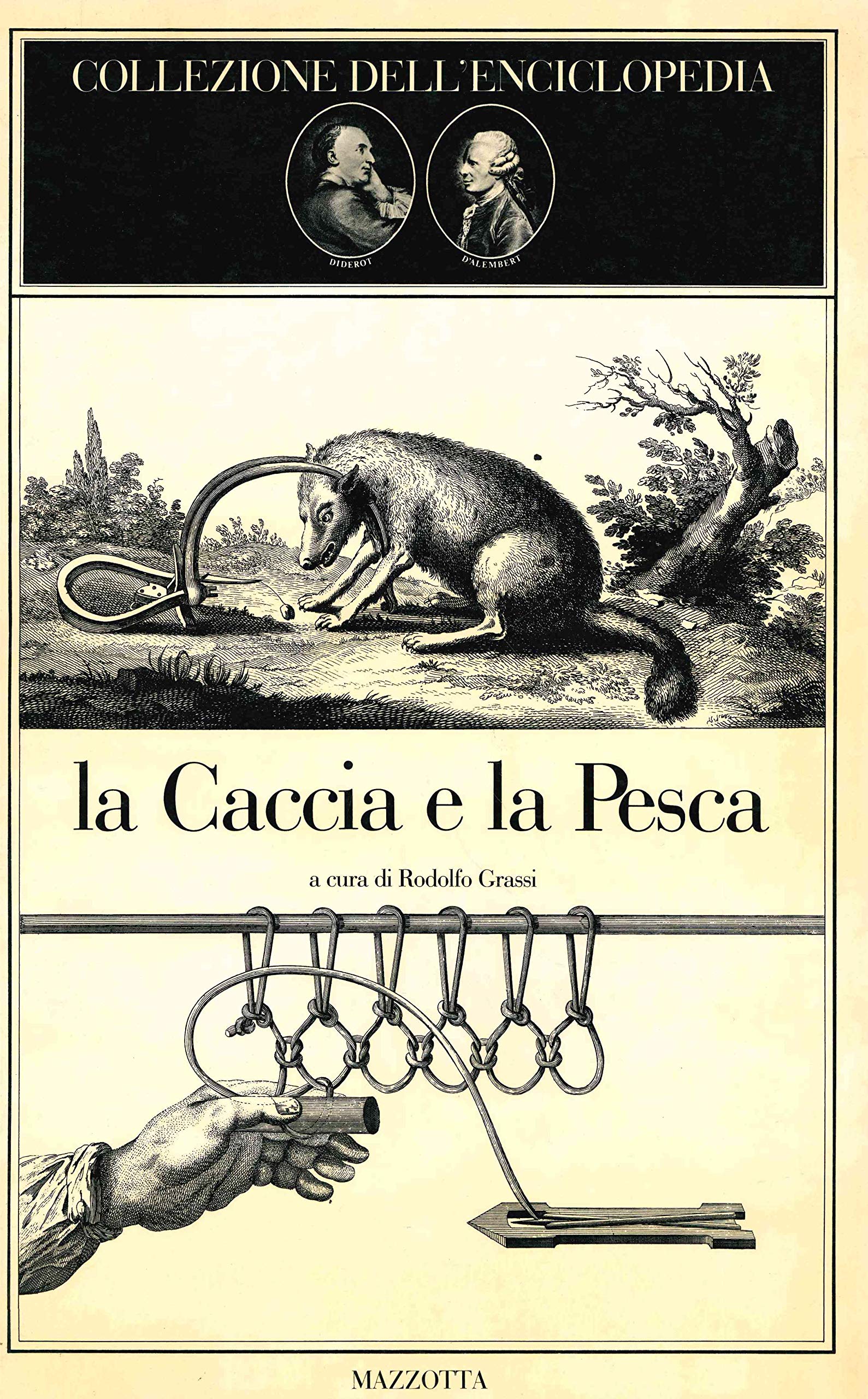 Librisaggi