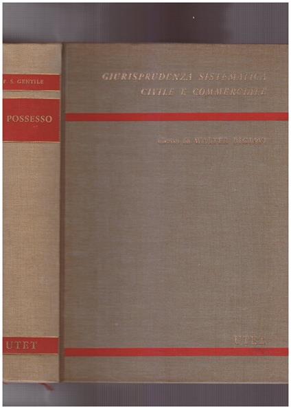 Il possesso - Francesco Silvio Gentile - copertina