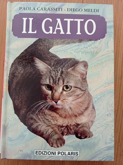Il gatto - copertina