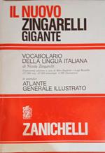 Il nuovo Zingarelli gigante. Vocabolario della lingua italiana