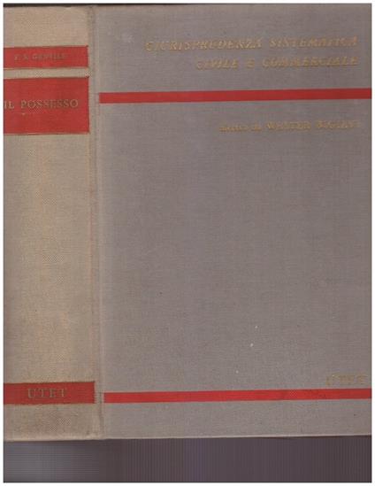 Il possesso - Francesco Silvio Gentile - copertina
