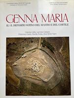 Genna Maria II,1 Il deposito votivo del mastio e del cortile