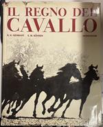 Il regno del cavallo