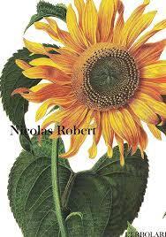 Nicolas Robert - Sandro Fusina - copertina