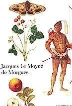 Jacques Le Moyne de Morgues - Sandro Fusina - copertina