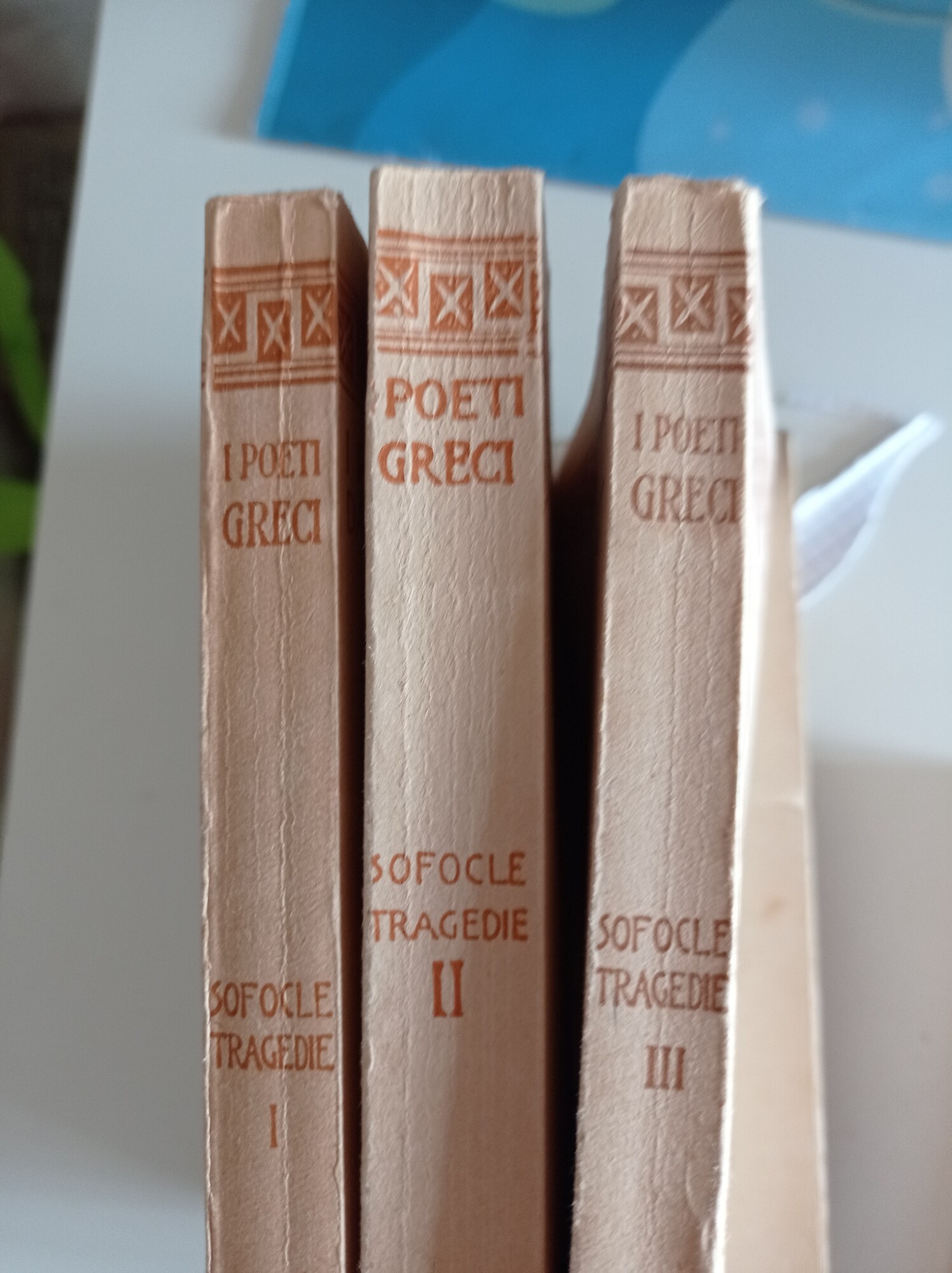 Libreria del Professore