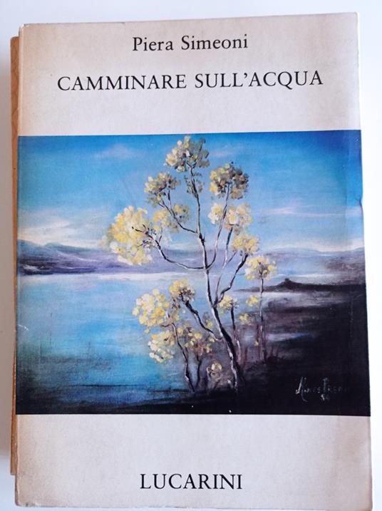 Camminare sull'acqua - copertina