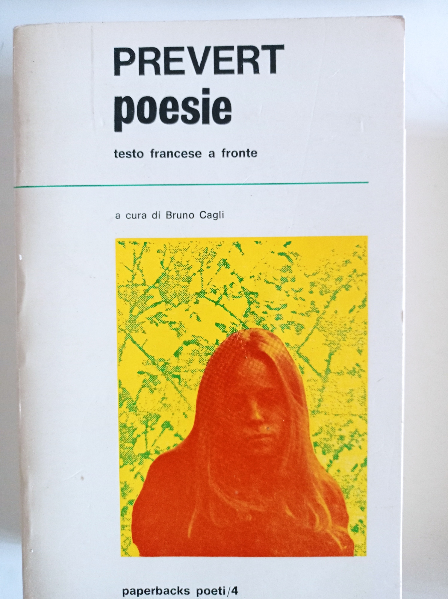 Libreria del Professore