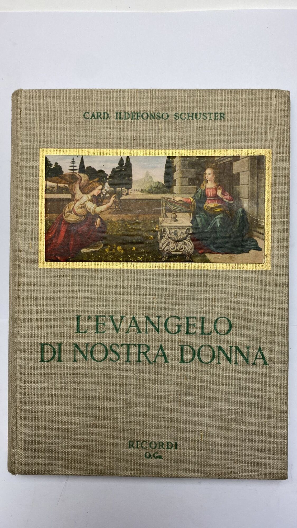 Libreria del Professore