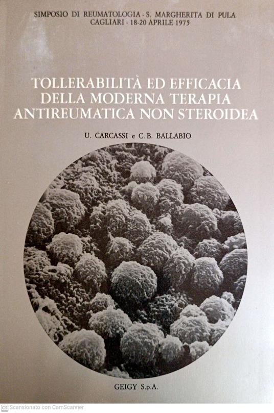 Tollerabilità ed efficacia della moderna terapia antireumatica non steroidea - copertina