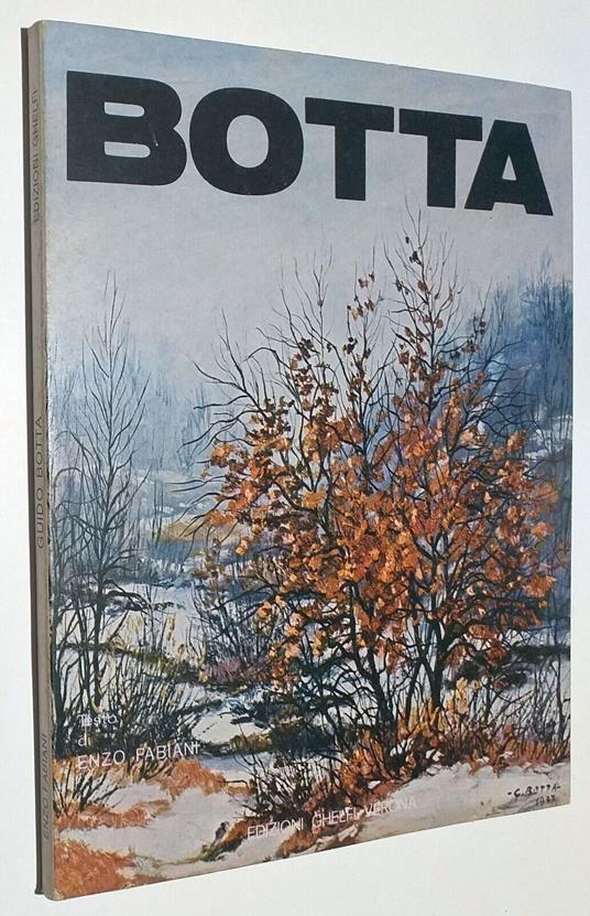 Guido Botta - Enzo Fabiani - copertina