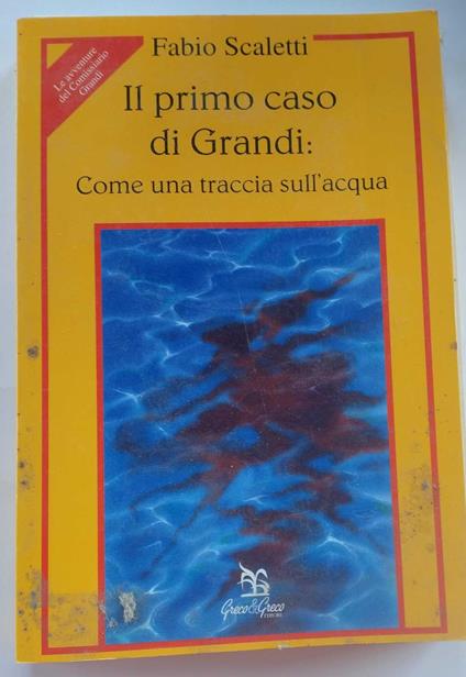 Il primo caso di Grandi: come una traccia sull'acqua - copertina