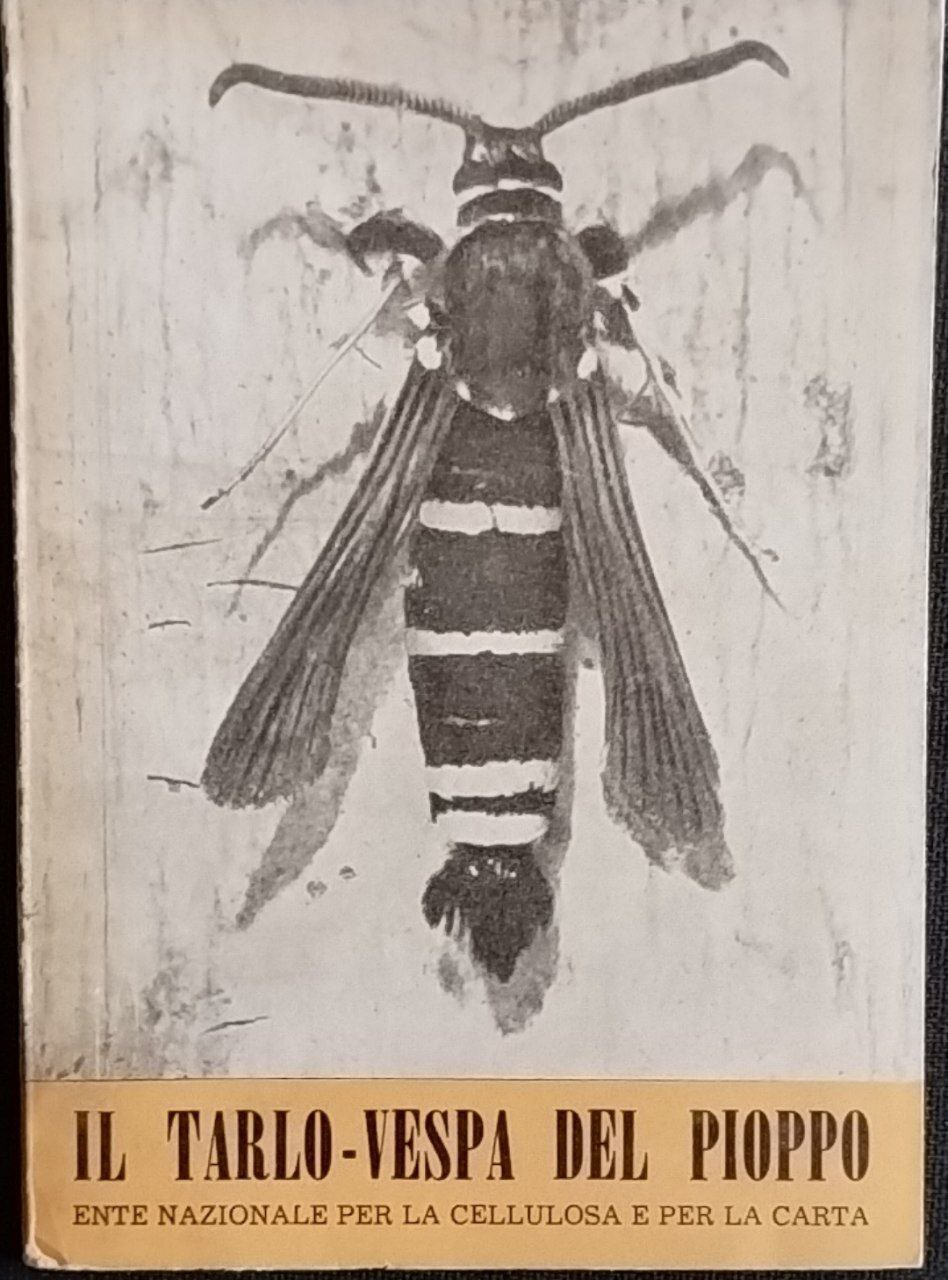 Libreria del Professore