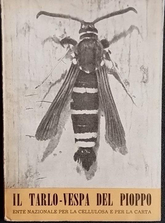 Il tarlo-vespa del pioppo - copertina