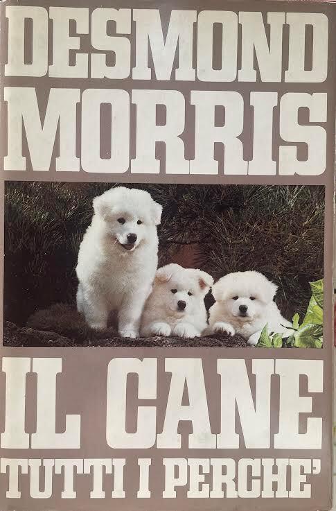 Il cane tutti i perche' - Desmond Morris - copertina