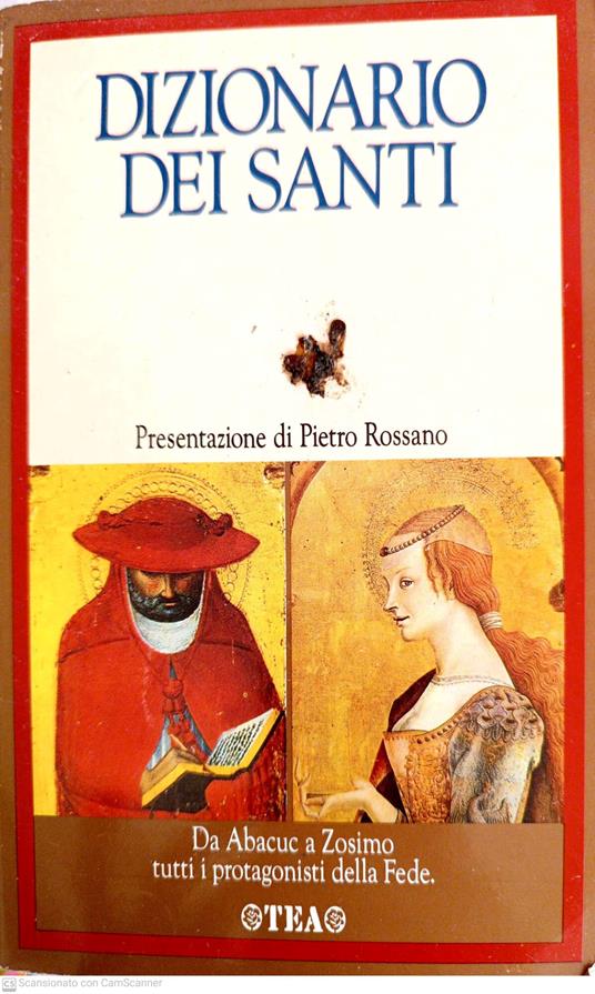 Dizionario dei santi - Pietro Rossano - copertina