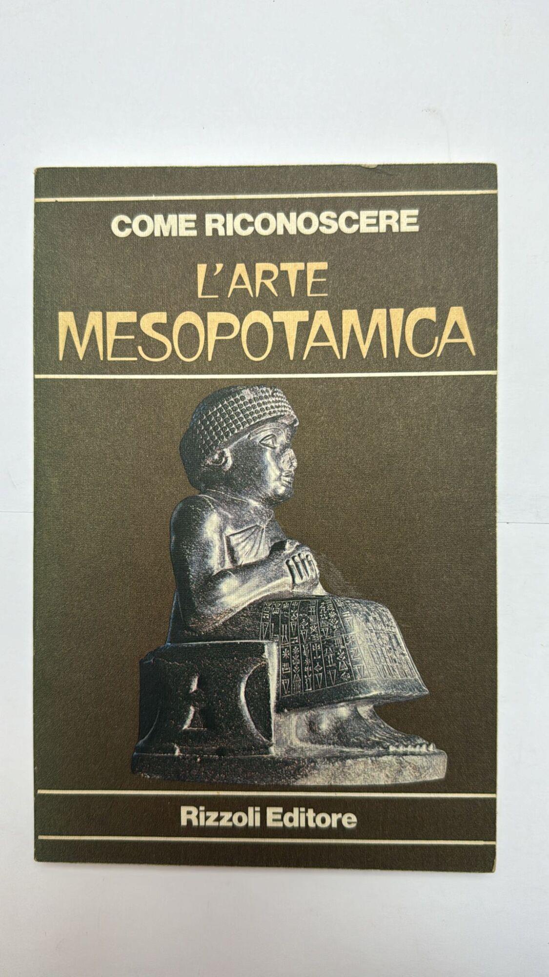 Librisaggi