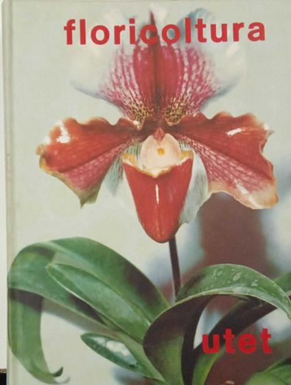 Floricoltura - Onorato Masera - copertina