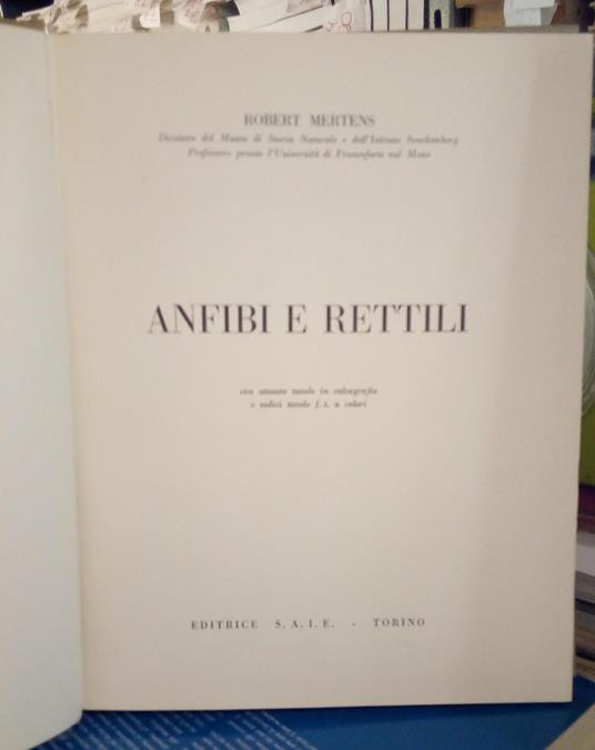 Anfibi e rettili - copertina