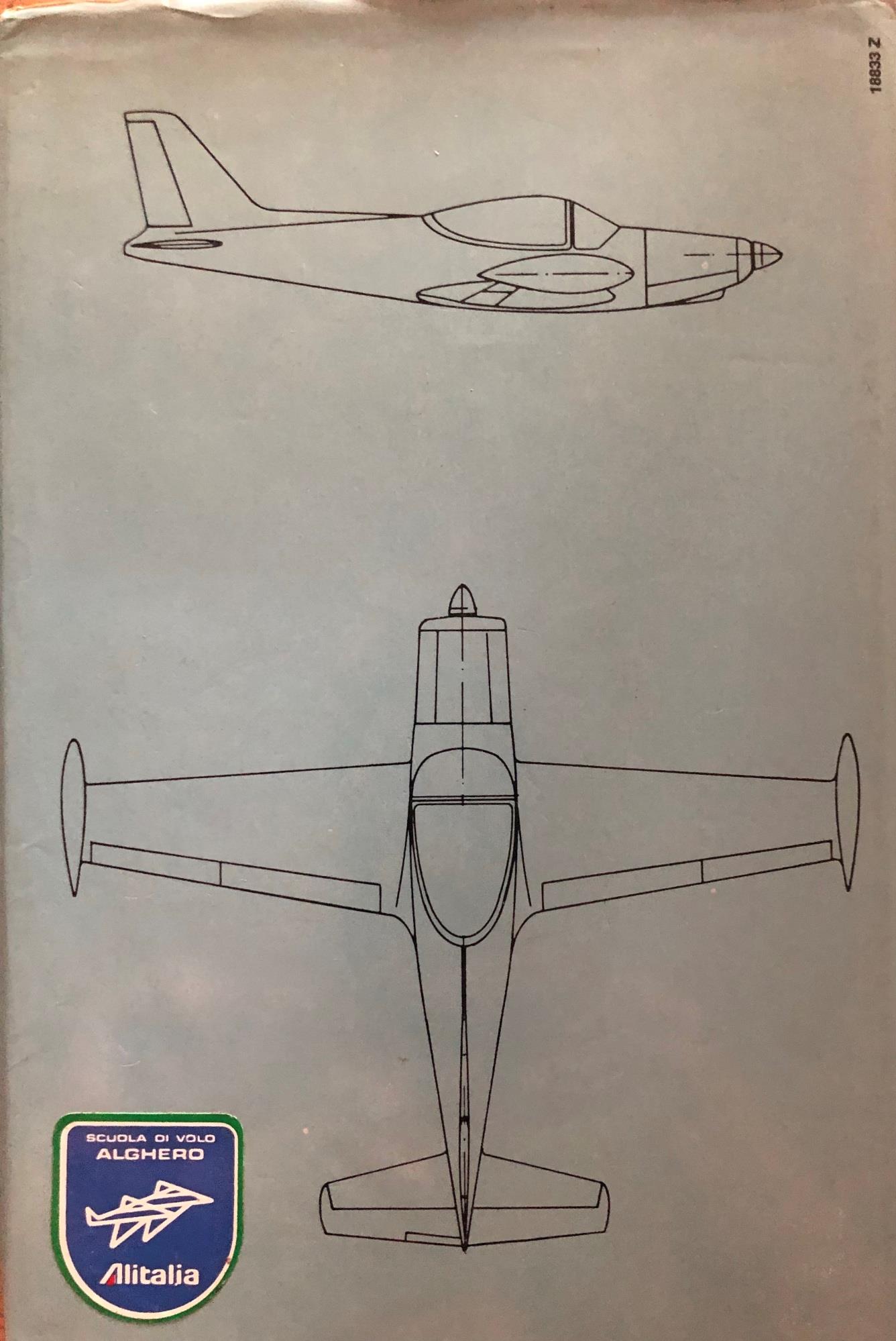 Il pilota moderno. Manuale teorico-pratico