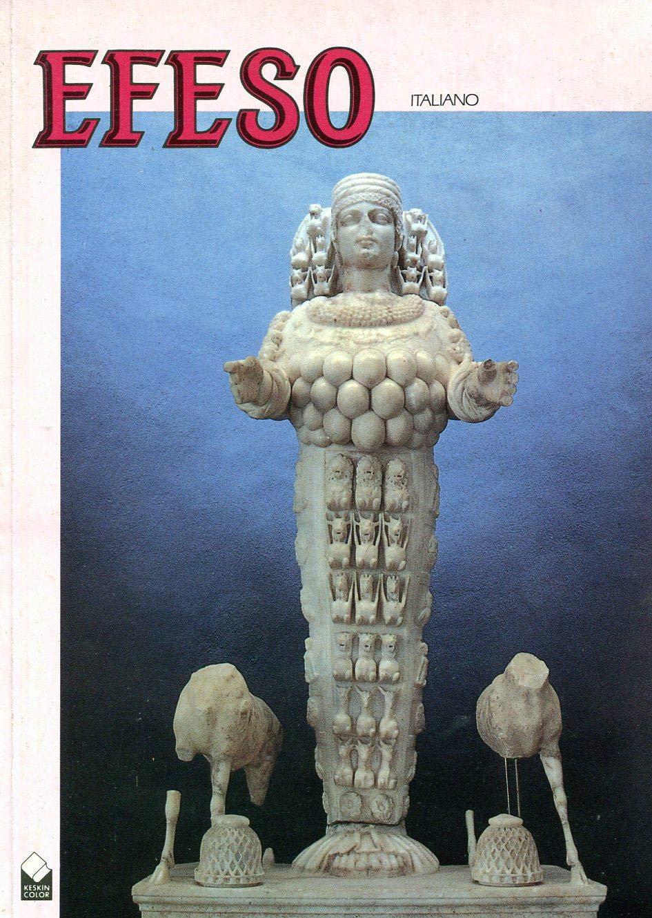 Librisaggi
