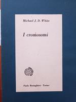 I cromosomi
