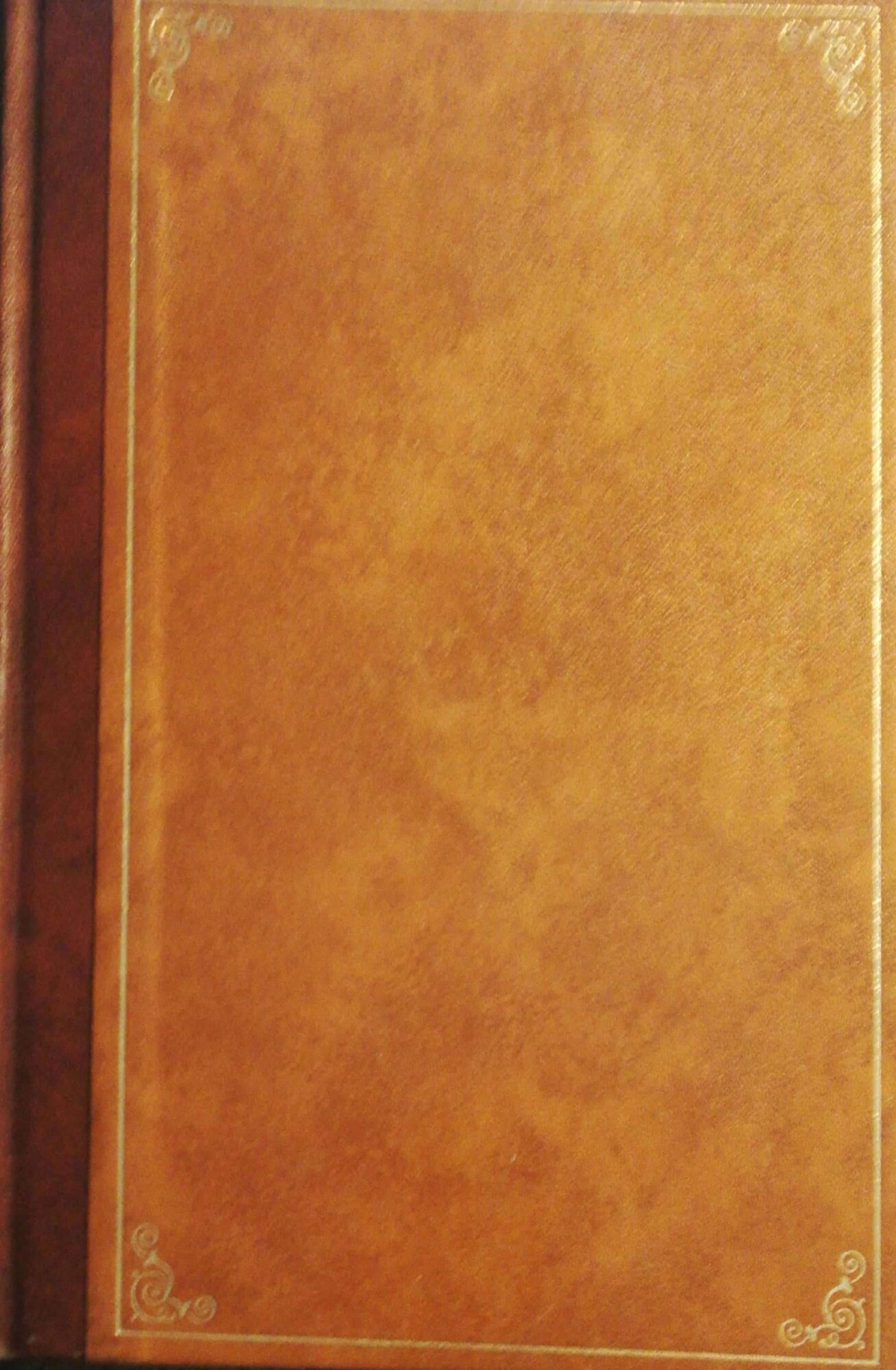 Librisaggi
